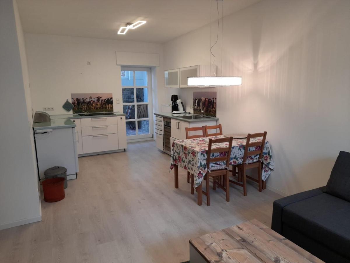 Ferienwohnung Am Geysirzentrum Andernach Zewnętrze zdjęcie