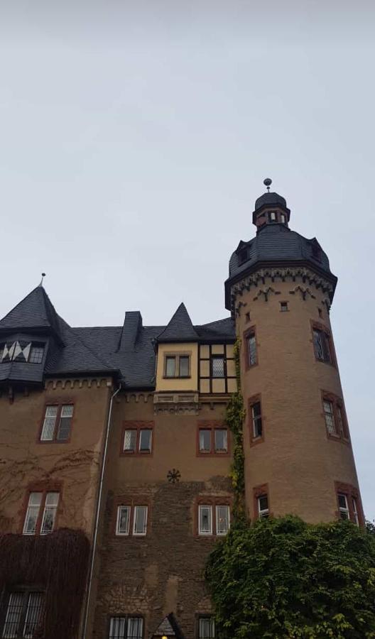 Ferienwohnung Am Geysirzentrum Andernach Zewnętrze zdjęcie