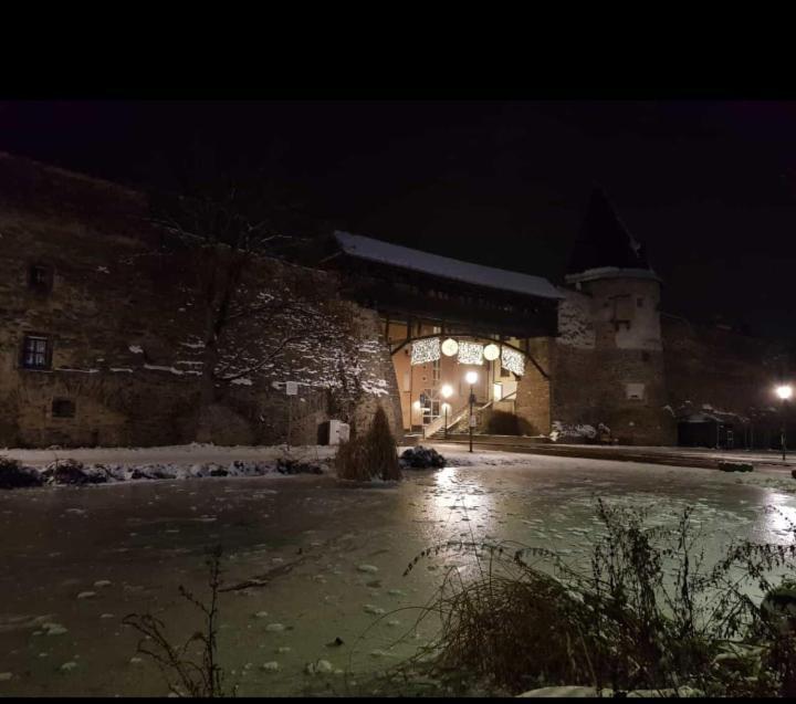 Ferienwohnung Am Geysirzentrum Andernach Zewnętrze zdjęcie