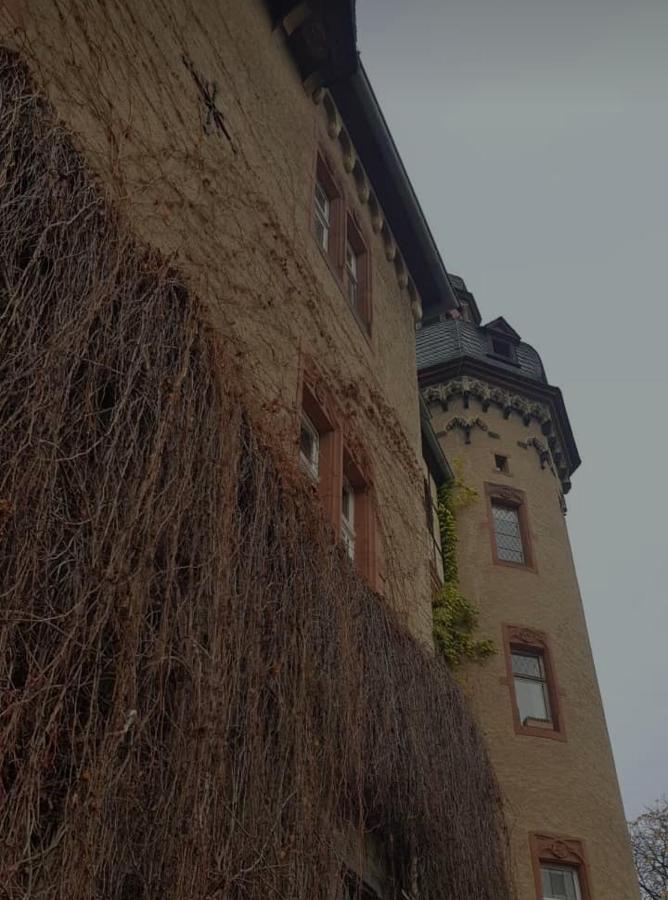 Ferienwohnung Am Geysirzentrum Andernach Zewnętrze zdjęcie