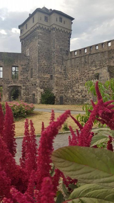 Ferienwohnung Am Geysirzentrum Andernach Zewnętrze zdjęcie